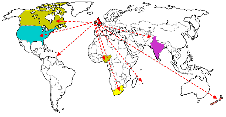 World Map